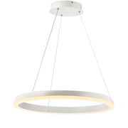 Baxter Modern Contemporary Aluminum Integrated LED Hoop Pendant