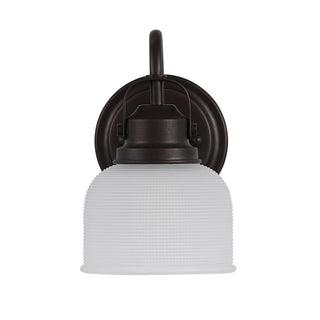 Virginia Metal/Glass LED Vanity Light