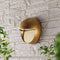 Orbe 6.25" Outdoor Metal/Glass Integrated LED Wall Sconce