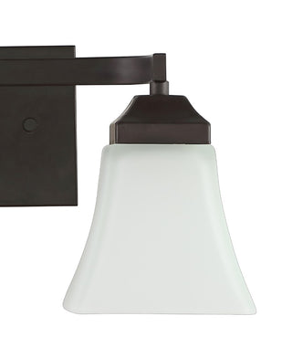 Staunton Iron/Glass Modern Cottage LED Vanity Light