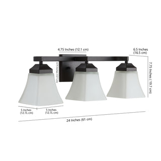 Staunton Iron/Glass Modern Cottage LED Vanity Light