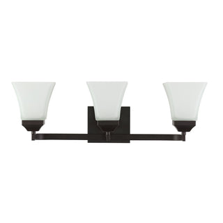 Staunton Iron/Glass Modern Cottage LED Vanity Light