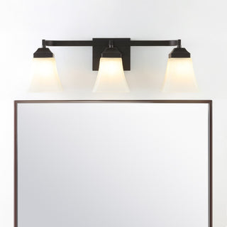 Staunton Iron/Glass Modern Cottage LED Vanity Light