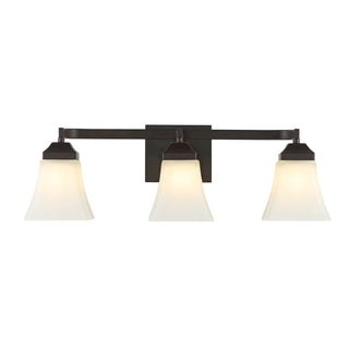 Staunton Iron/Glass Modern Cottage LED Vanity Light