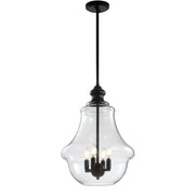 Adam Adjustable Metal/Glass LED Pendant