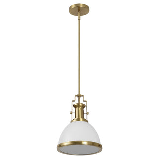 Homer Modern Industrial Iron LED Dome Pendant