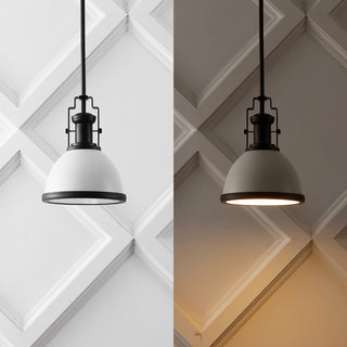 Homer Modern Industrial Iron LED Dome Pendant