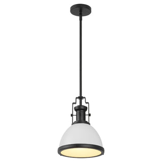 Homer Modern Industrial Iron LED Dome Pendant