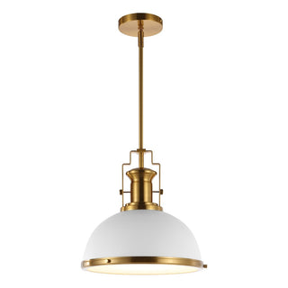 Homer Modern Industrial Iron LED Dome Pendant