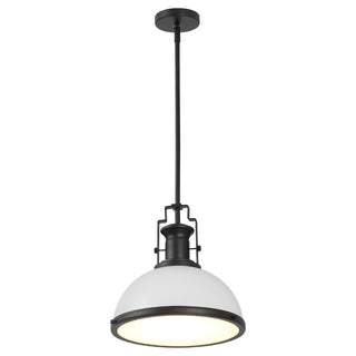 Homer Modern Industrial Iron LED Dome Pendant
