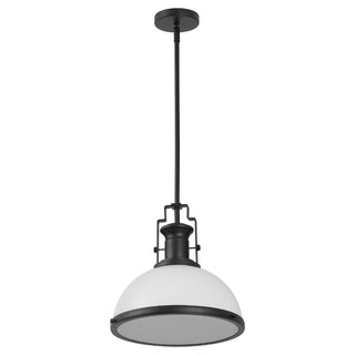 Homer Modern Industrial Iron LED Dome Pendant