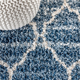 Susa Ogee Moroccan Trellis Shag Area Rug