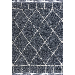 Mercer Shag Plush Tassel Moroccan Geometric Trellis Area Rug