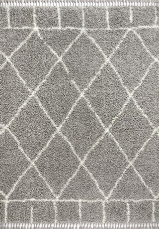 Mercer Shag Plush Tassel Moroccan Geometric Trellis Area Rug