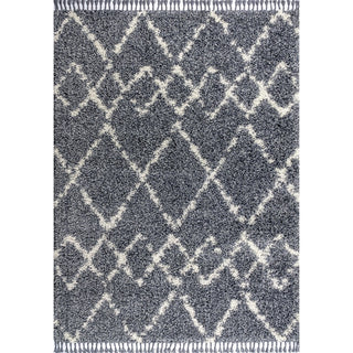 Mercer Shag Plush Tassel Moroccan Tribal Geometric Trellis Area Rug