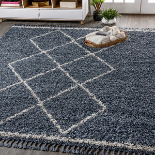 Beautiful mercer Shag Plush Tassel Moroccan Tribal Geometric Trellis Area Rug