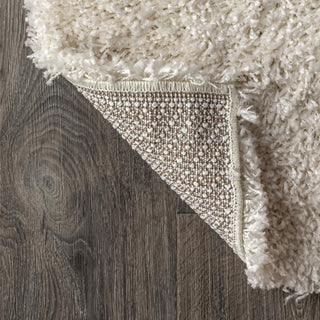 Mercer Shag Plush Area Rug