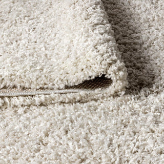 Mercer Shag Plush Area Rug