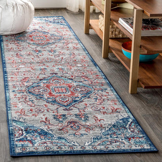 Friv modern Persian Vintage Medallion Area Rug - JONATHAN Y
