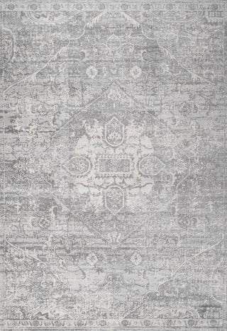 Friv modern Persian Vintage Medallion Area Rug - JONATHAN Y