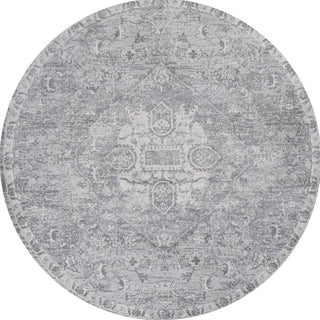 Friv modern Persian Vintage Medallion Area Rug