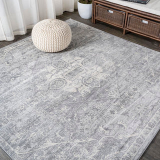 Friv modern Persian Vintage Medallion Area Rug