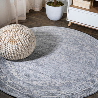 Jerica modern Persian Vintage Medallion Area Rug