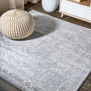 Jerica modern Persian Vintage Medallion Area Rug