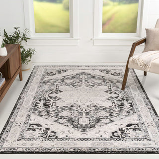Jerica modern Persian Vintage Medallion Area Rug