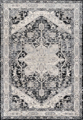 Jerica modern Persian Vintage Medallion Area Rug
