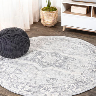 Kasbah Modern Persian Vintage Medallion Area Rug