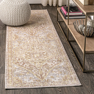 Petras Modern Ornate Medallion Area Rug