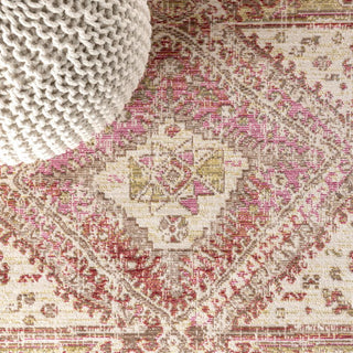 Darija Ornate Geometric Medallion Area Rug