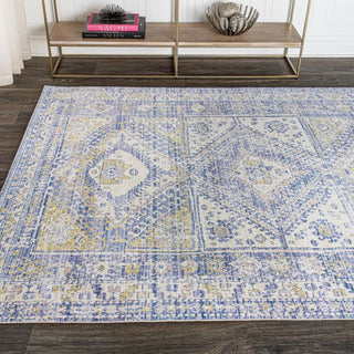 Darija Ornate Geometric Medallion Area Rug