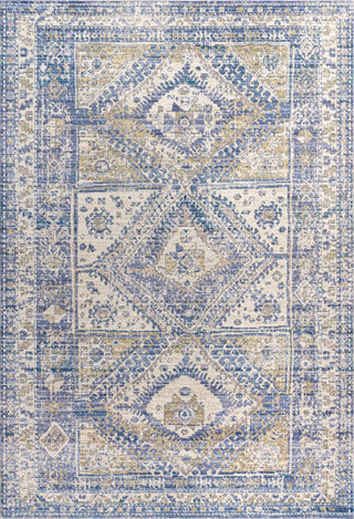 Darija Ornate Geometric Medallion Area Rug