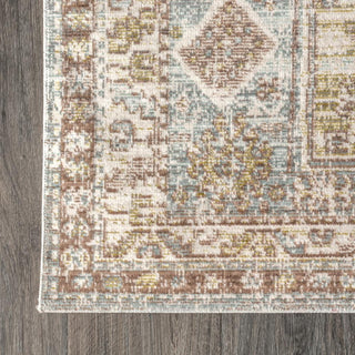 Darija Ornate Geometric Medallion Area Rug