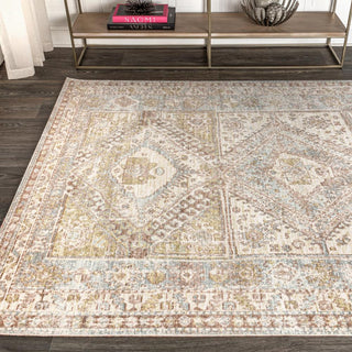 Darija Ornate Geometric Medallion Area Rug