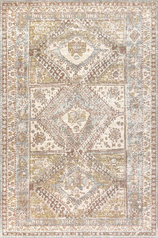 Darija Ornate Geometric Medallion Area Rug