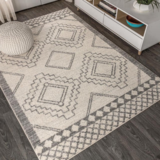 Amir Moroccan Beni Souk Area Rug