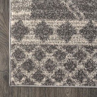Amir Moroccan Beni Souk Area Rug