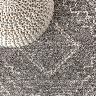 Amir Moroccan Beni Souk Area Rug