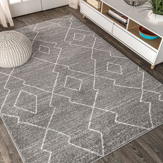 Alia Moroccan Beni Souk Area Rug