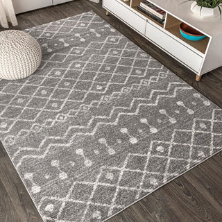 Aksil Moroccan Beni Souk Area Rug