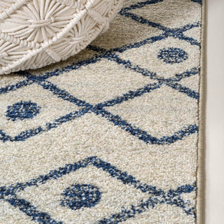 Aksil Moroccan Beni Souk Area Rug