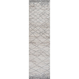 Asilah Moroccan Modern Diamond Area Rug