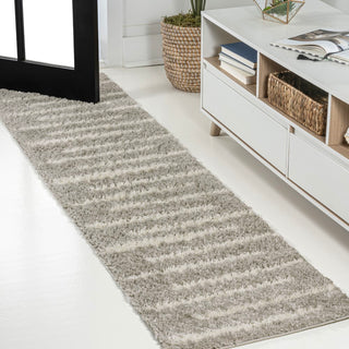 Alaro Berber Stripe Shag Area Rug
