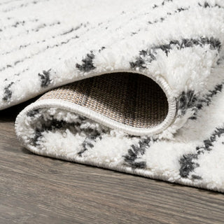 Petra Abstract Stripe Geometric Shag Area Rug