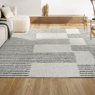 Petra Abstract Stripe Geometric Shag Area Rug