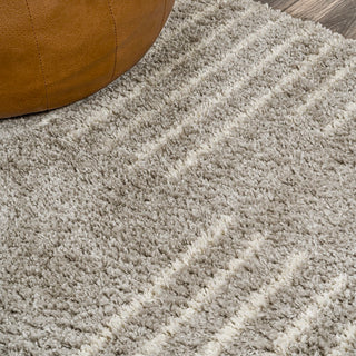 Petra Abstract Stripe Geometric Shag Area Rug