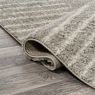 Petra Abstract Stripe Geometric Shag Area Rug